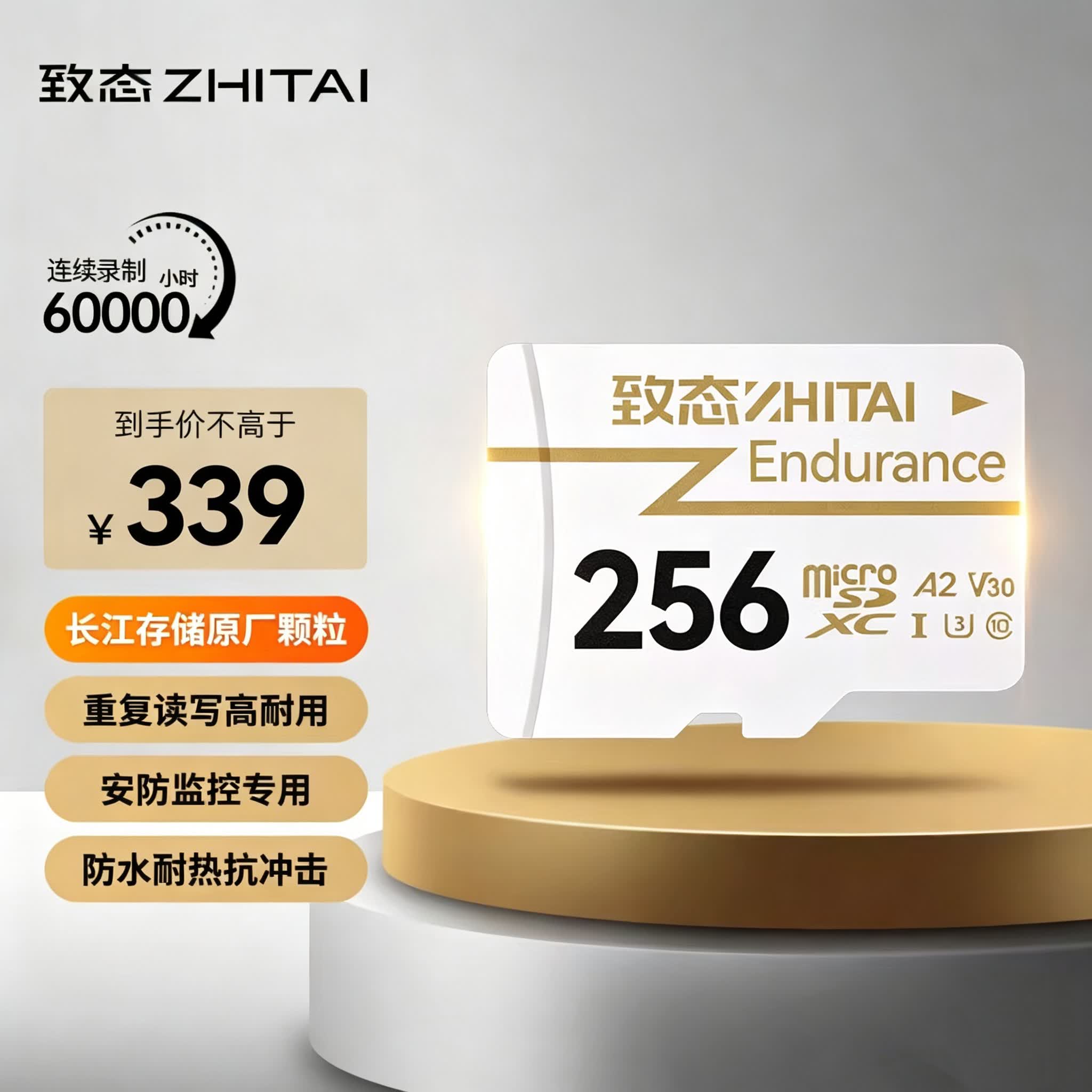 致态（ZhiTai）长江存储 256GB TF（MicroSD）Endurance 高度耐用存储卡 行车记录仪&家庭商用安防监控摄像专用