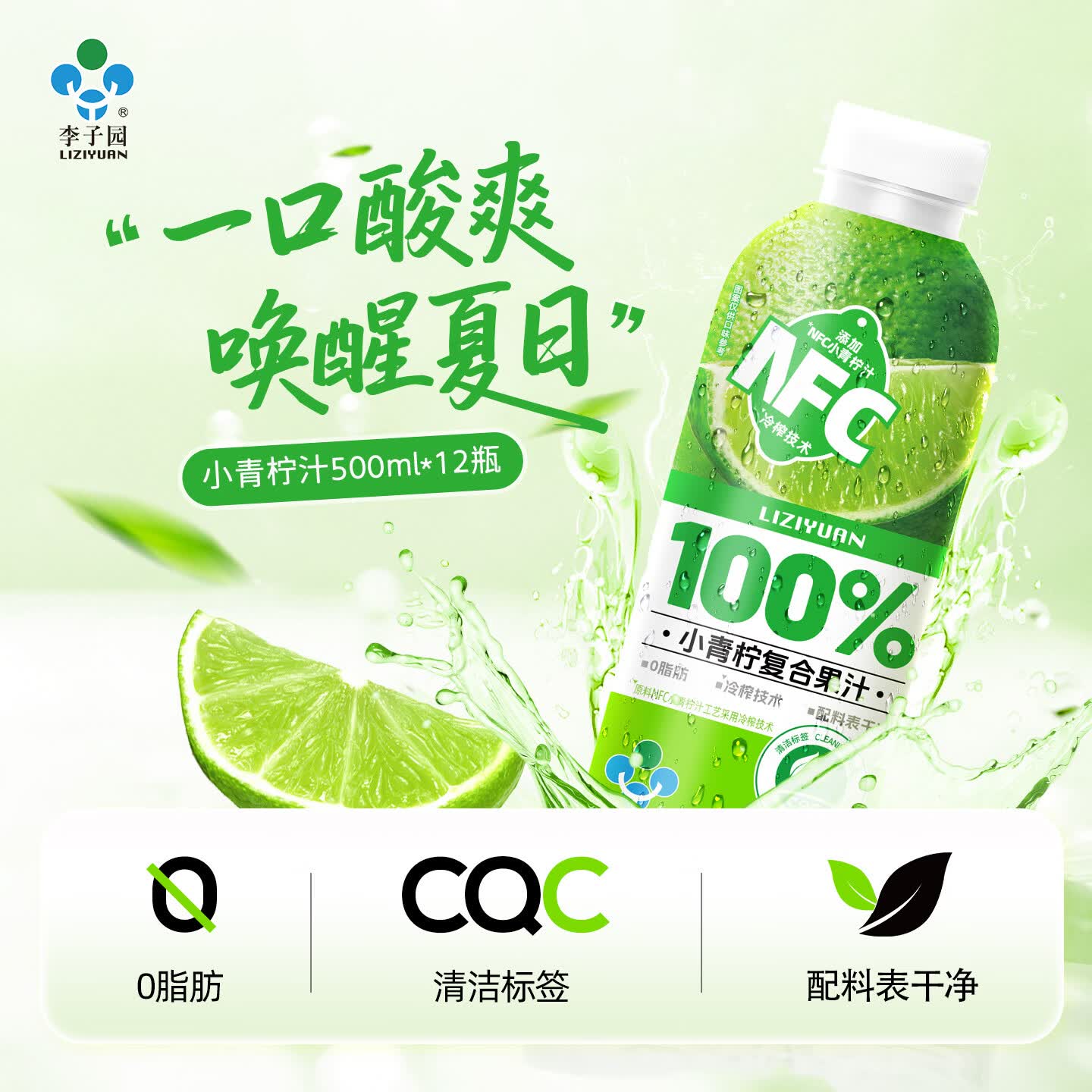 活力李子园100%小青柠复合果汁0脂肪饮料500ml*12瓶整箱