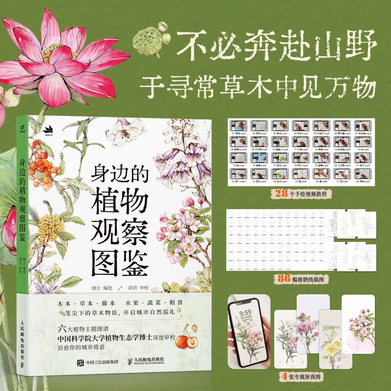 身边的植物观察图鉴 晓左 编绘 著 人民邮电出版社 书籍 图书