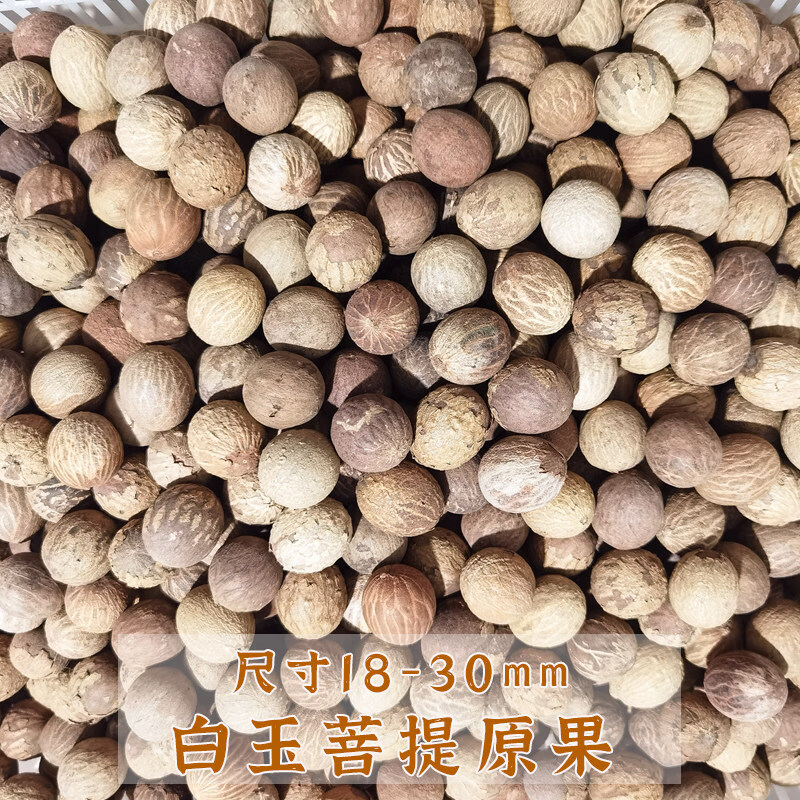 菩提子原籽白玉菩提根原籽原果未打磨原料贝叶棕去皮大果散珠风化 带皮20-22mm一斤装【约60颗】