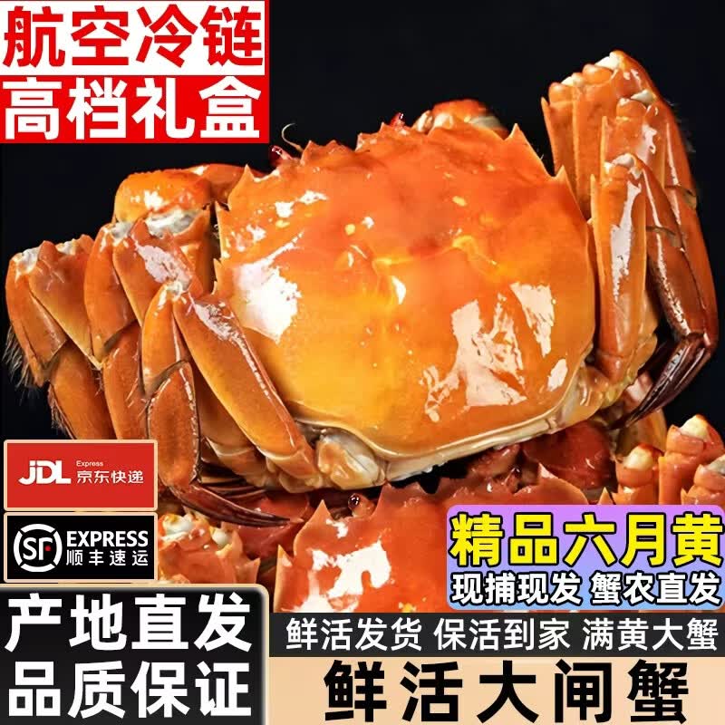 【活蟹】阳澄圣宣大闸蟹 特大鲜活大螃蟹公母蟹 水产生鲜端午礼盒 精品六月黄3.0-3.3两 八只礼盒装