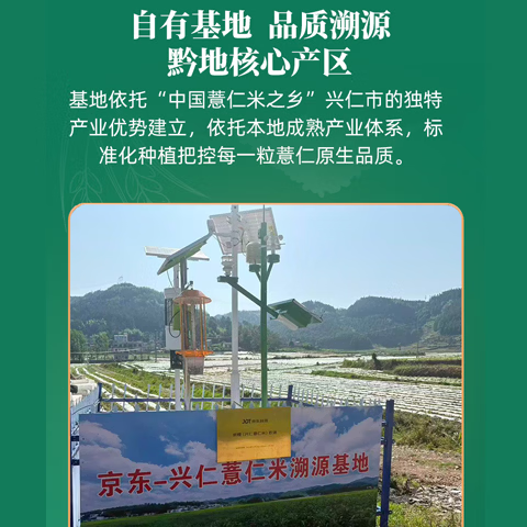 薏气薏米京东官方京稷溯源贵州兴仁小粒薏仁五谷杂粮地标煲汤煲粥新米 薏仁米250g 图 6