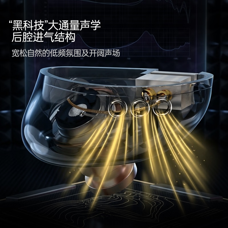 VAYAELF VAYAELF EPZ双品牌联合品宣 T10 黑钻有线耳机 T10黑钻耳机+C口解码小尾巴（华为或苹果15-16）】