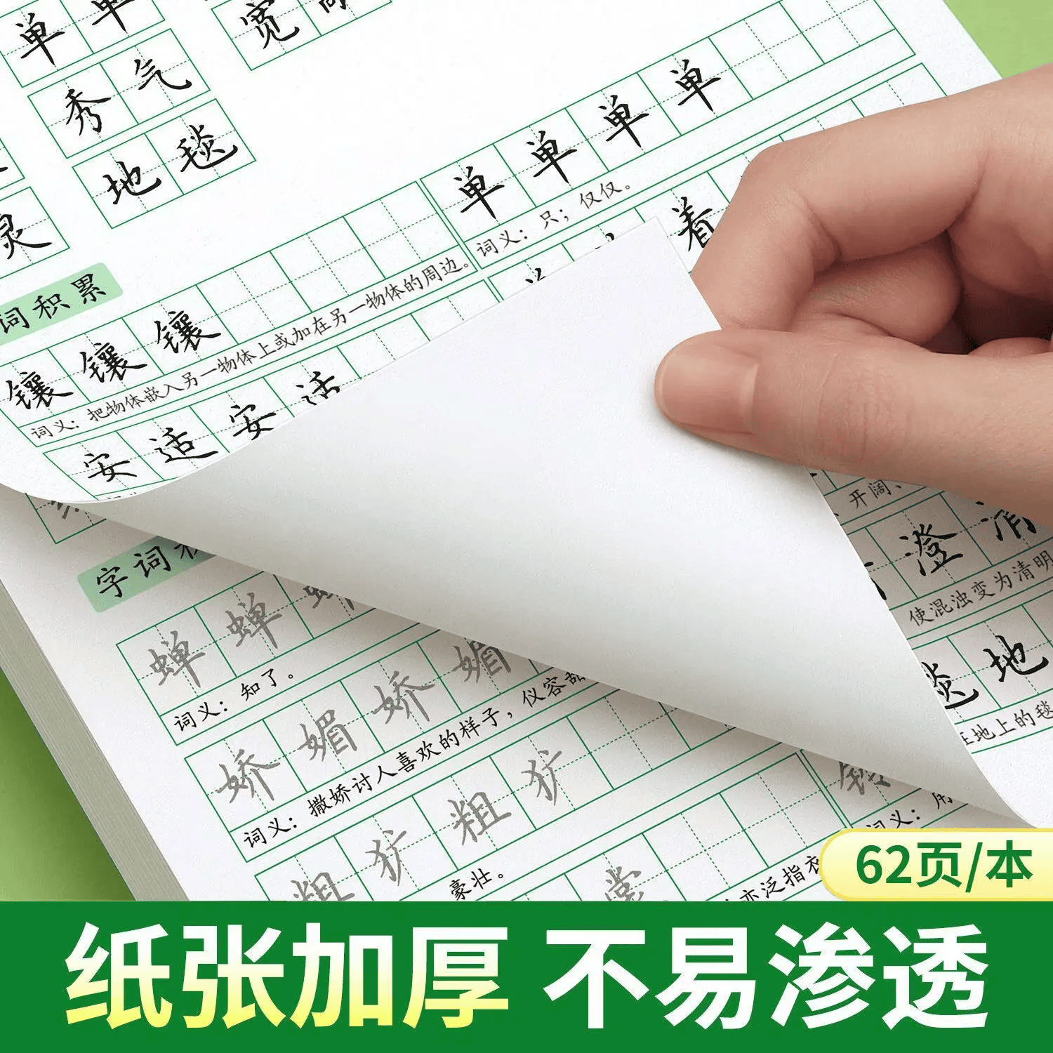 金枝叶七年级八年级同步练字帖上册下册初中生语文字帖人教版小升初每日一练初一初二楷书正楷描红练字本 七年级上册同步字帖