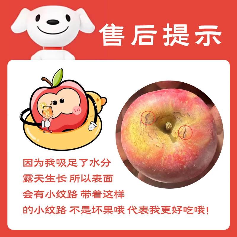 壹棵弘芯正宗陕西红富士苹果水果时令脆甜冰糖心丑苹果生鲜水果整箱 9斤严选超值装【手工挑选新果】净重约为7.5斤+