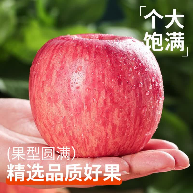 烟台红富士苹果产地直发脆甜多汁新鲜水果礼盒烟台苹果送礼整箱 尝鲜装75MM红富士6枚装