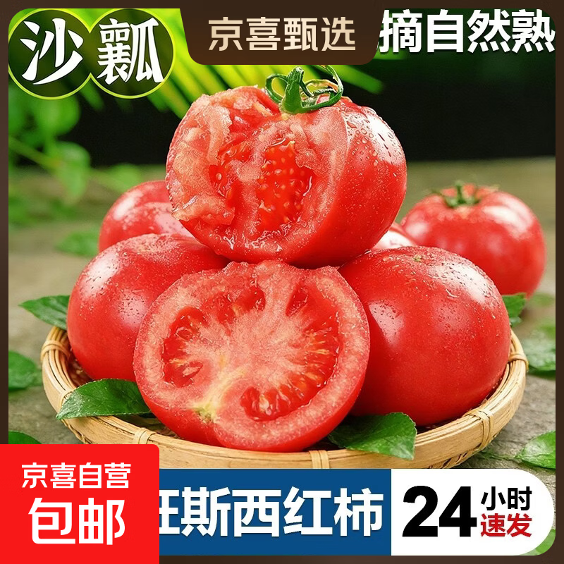 京喜加正宗普罗旺斯西红柿沙瓤水果番茄蔬菜现摘新鲜自然熟生吃粉果超甜 正宗普罗旺斯 4斤 带箱