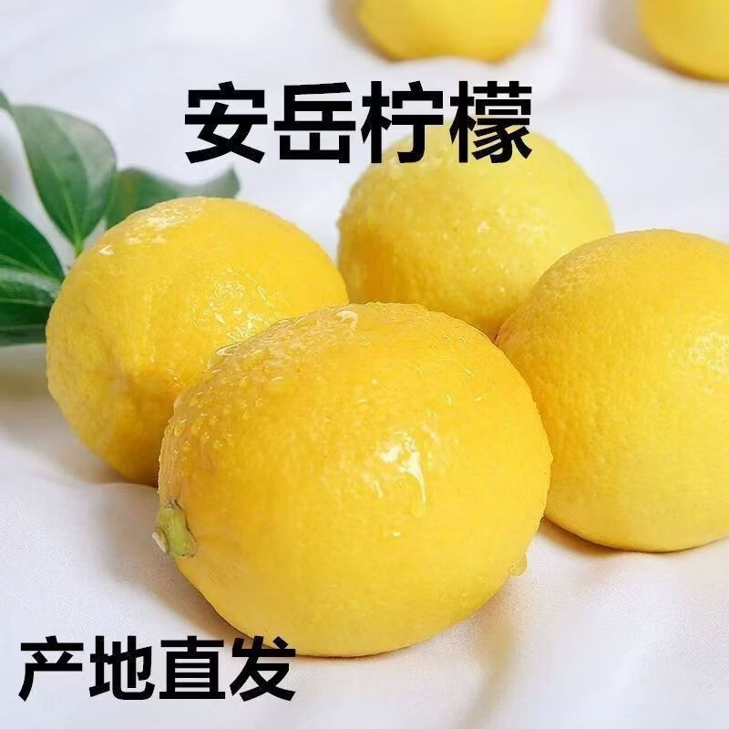 黄柠檬四川安岳柠檬新鲜柠檬鲜果薄皮柠檬批发奶茶店整箱 黄柠檬1个单果50-80g单个独立装