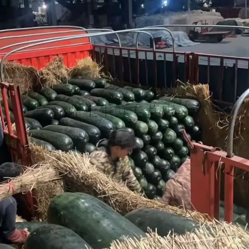 黑皮大冬瓜现摘新鲜大个纳凉解暑适合全家健康食用 青皮现摘大冬瓜18斤 18斤