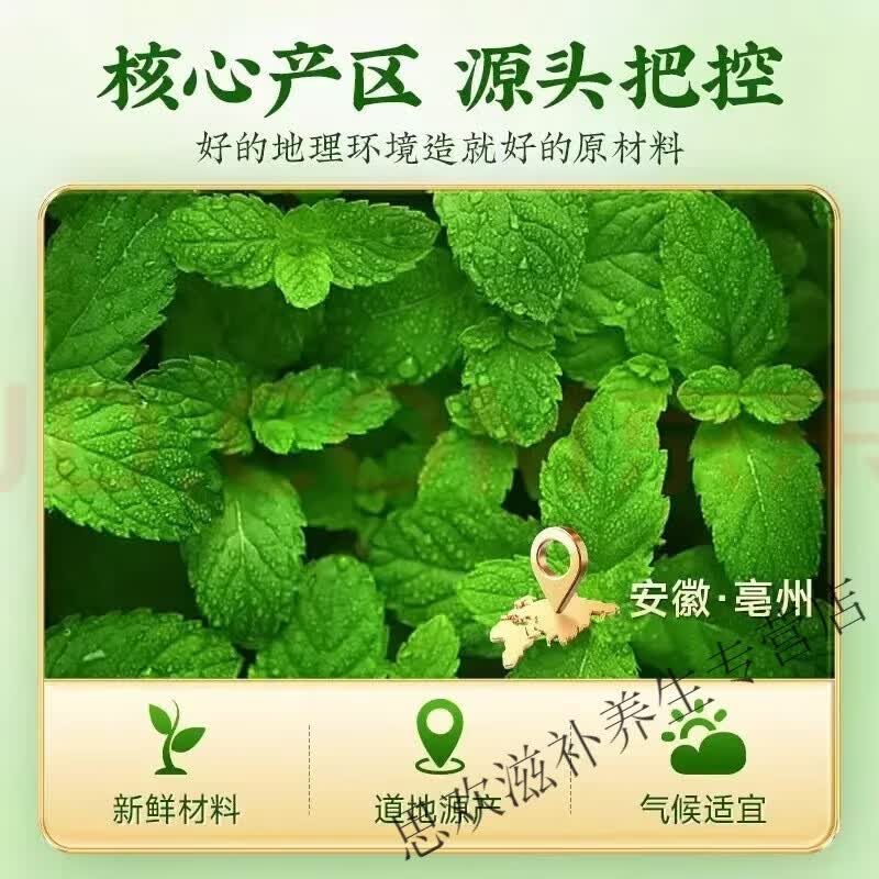 同仁堂特级薄荷茶精选薄荷叶颗粒新鲜中药材泡茶泡水调酒夏季清凉茶叶 甄选野生薄荷叶茶清新口 250g*4罐