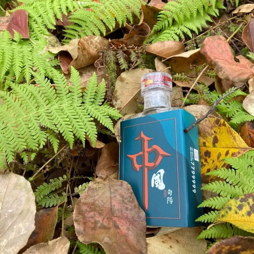 高升起天然果香型拐枣酒100ml/瓶 100ml*10瓶/盒