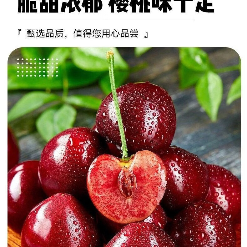 正宗俄罗斯八号大樱桃新鲜现摘果大饱满脆甜多汁当季鲜果整箱发货 3斤(净重) 特大果 28-36单果约15-22g