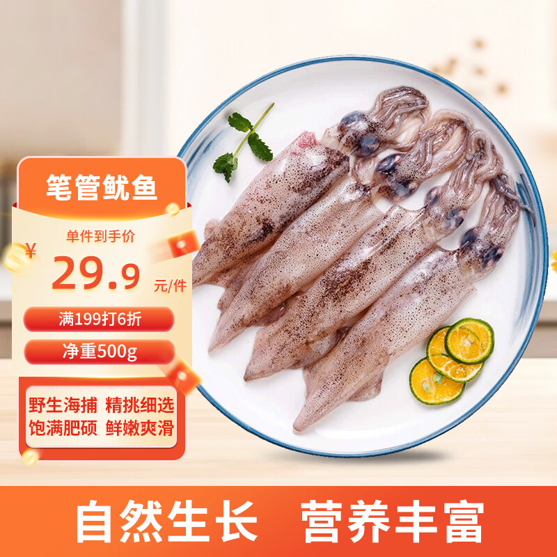 美加佳无保水剂笔管鱿鱼净重1斤 海兔子 墨斗鱼 烧烤食材端午聚餐