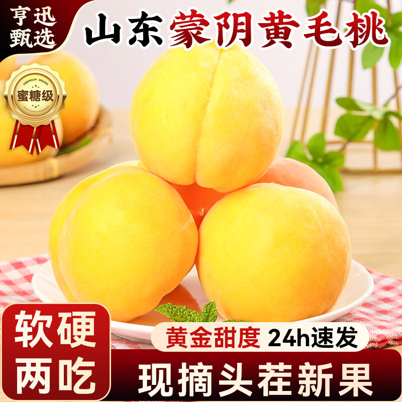 亨迅蒙阴黄桃水果新鲜黄金蜜桃黄毛桃子脆甜应季时令生鲜 5斤装丨品质优选丨净重4.6斤