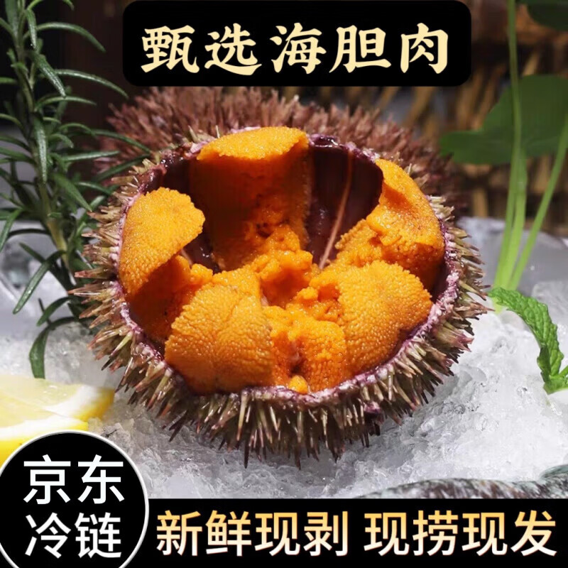 马粪海胆肉新鲜冷冻紫胆新鲜日料刺身即食大连海胆肉海鲜水产 纯海胆肉 *1盒(可刺身) 100g