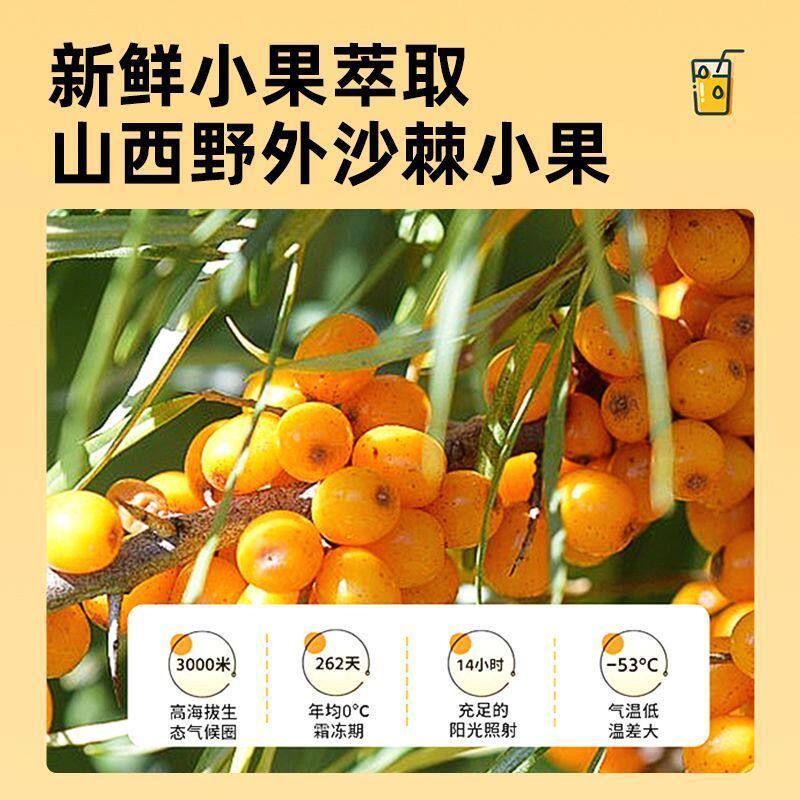 沙棘原浆沙棘原浆新疆无糖鲜果鲜榨原汁小包装果茶正宗沙棘汁饮料 全果沙棘原浆1盒10袋 10袋*1盒 鲜活每一天
