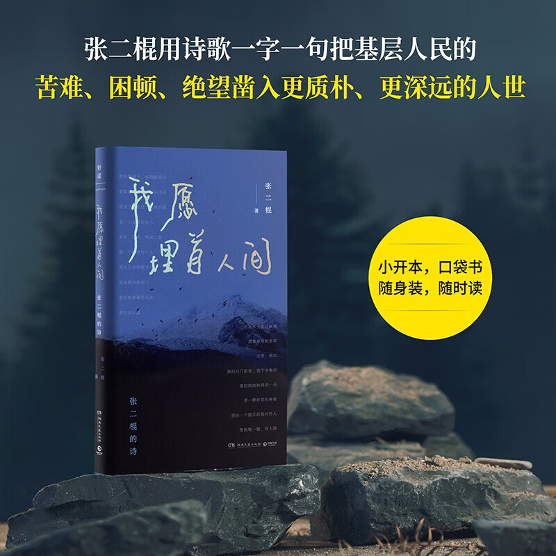 我愿埋首人间：张二棍的诗 第九届鲁迅文学奖获奖作品 地质钻探诗人张二棍亲选诗作 图书