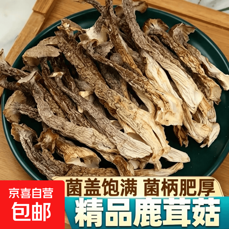 鹿茸菌新货鹿茸菇无硫新鲜香菇干货河北特产鹿茸菇可批发煲汤食材 鹿茸菇净重（500克）推荐