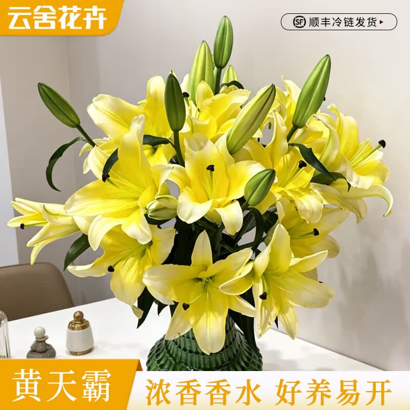 云舍花卉黄天霸单瓣百合3枝10-12个花苞 23.59元 - 86线报