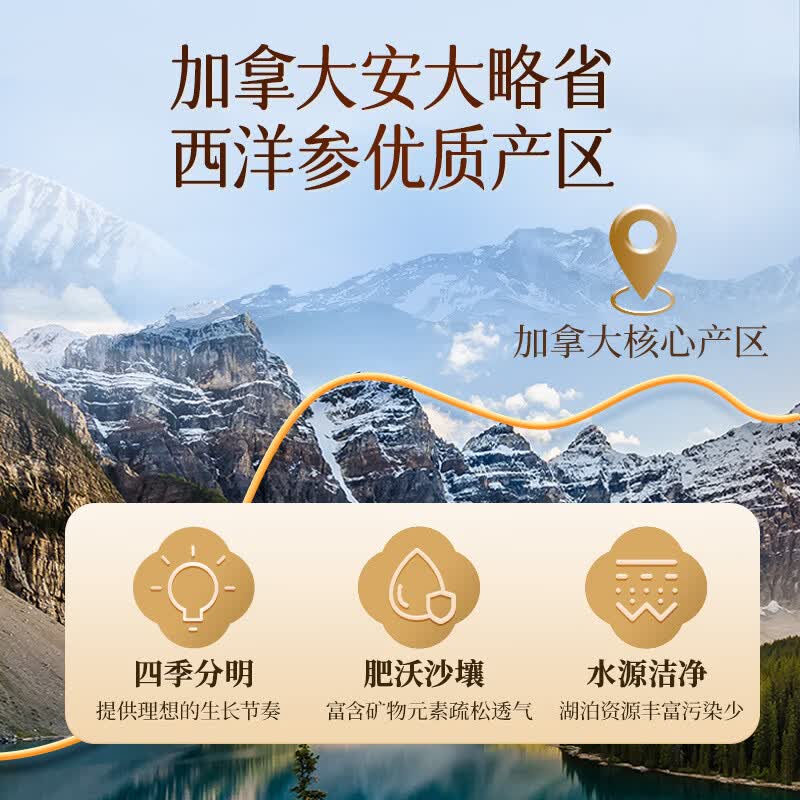 雷允上【官方】 加拿大西洋参花旗参粉送礼补品送长辈营养人参皂苷 【高性价比】 105g*1罐 (1.2-1.4cm)