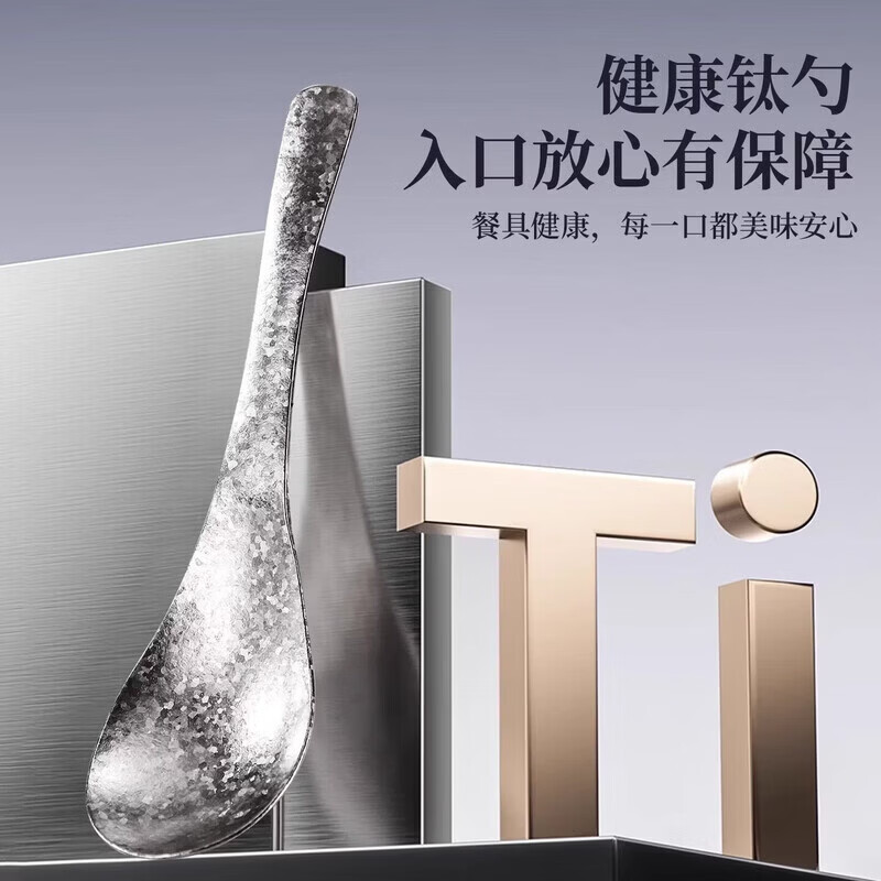 纳有风纯钛筷子礼盒家用高档结晶冰花筷抗菌防霉勺叉餐具套装防滑耐高温 银色-纯钛勺子 单只【盒装】