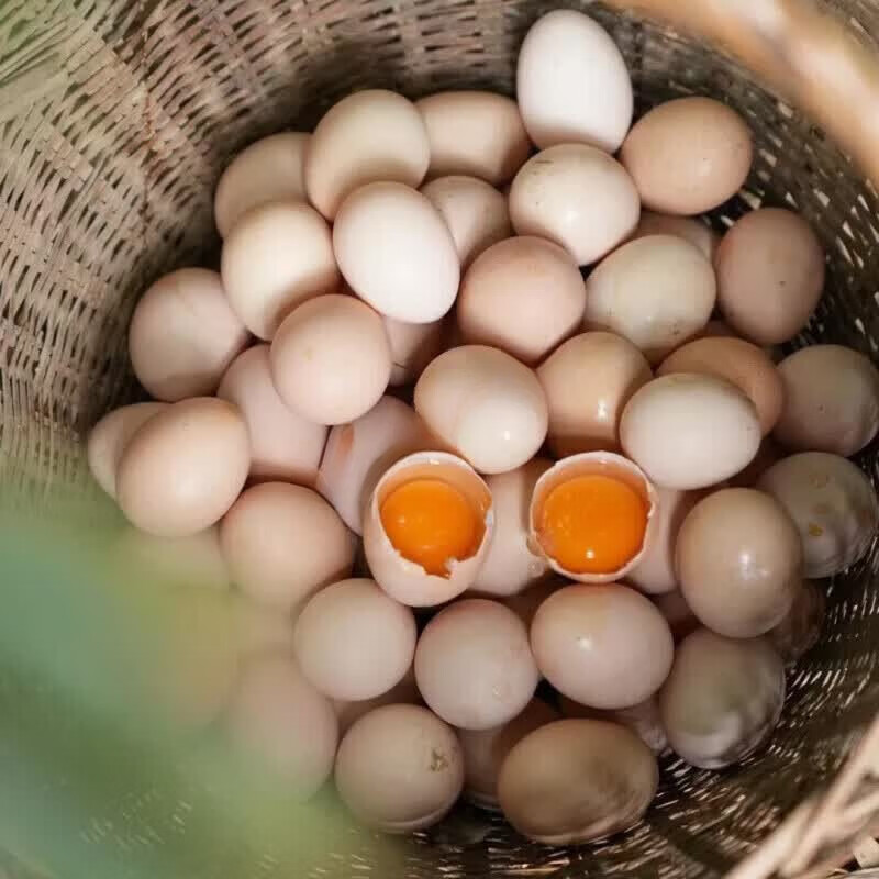 食怀整箱50枚正宗农家散养土鸡蛋儿童孕妇营养虫草蛋整箱批发15枚 15枚农家土鸡蛋