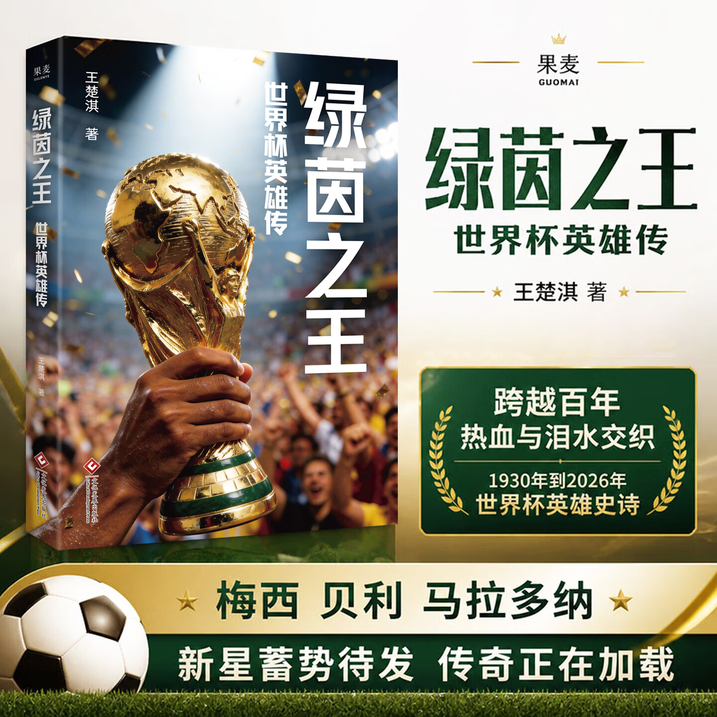 【赠美加墨世界杯观赛指南】绿茵之王 世界杯英雄传 王楚淇 从1930到2026，一本书看尽世界杯的荣耀与悲壮 贝利 C罗 梅西 姆巴佩 2026美加墨世界杯 果麦出品 绿茵之王