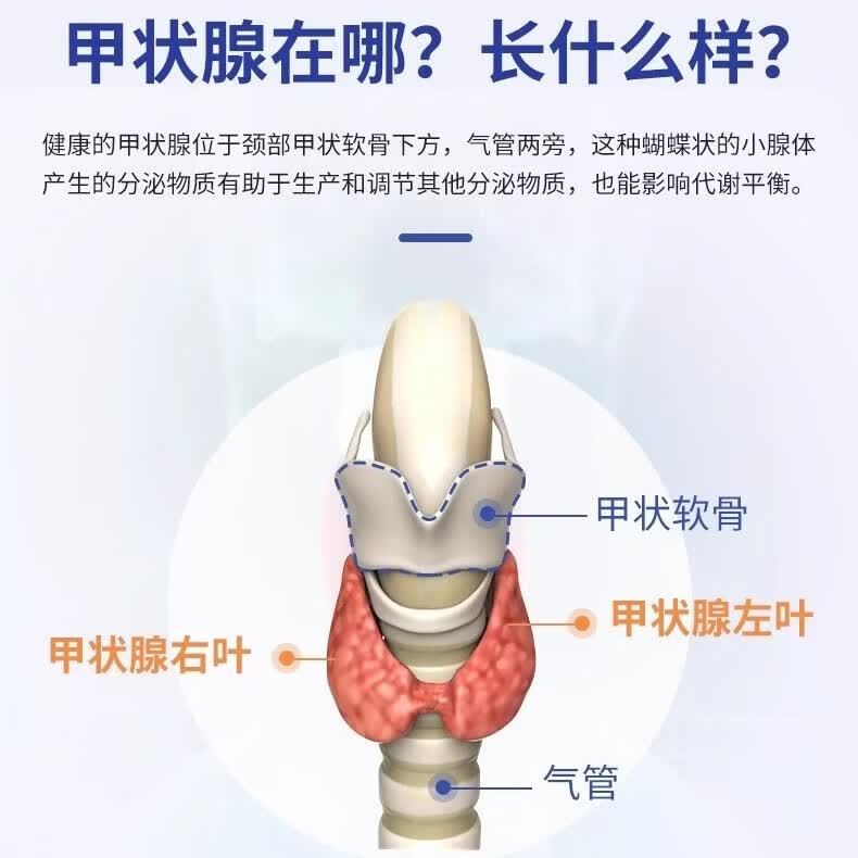 Qivaroqivaro小甲宝甲腺结桥本氏甲腺健康甲腺宝猫爪甲腺胶囊美国进口 30粒*3瓶