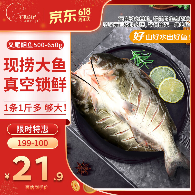 钓鱼记斑点叉尾鮰鱼1斤-1.3斤 二去净重 烤鱼冷冻生鲜鱼类 海鲜端午送礼