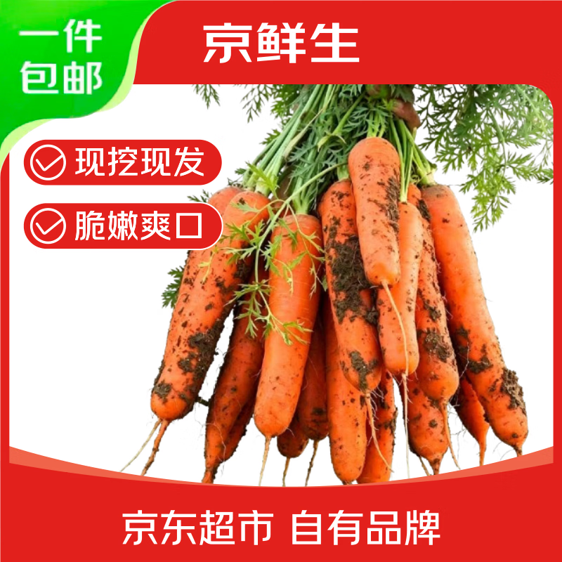 京鲜生山东糖心带泥胡萝卜 净重4.5斤 单果100g+ 新鲜现挖 源头直发包邮