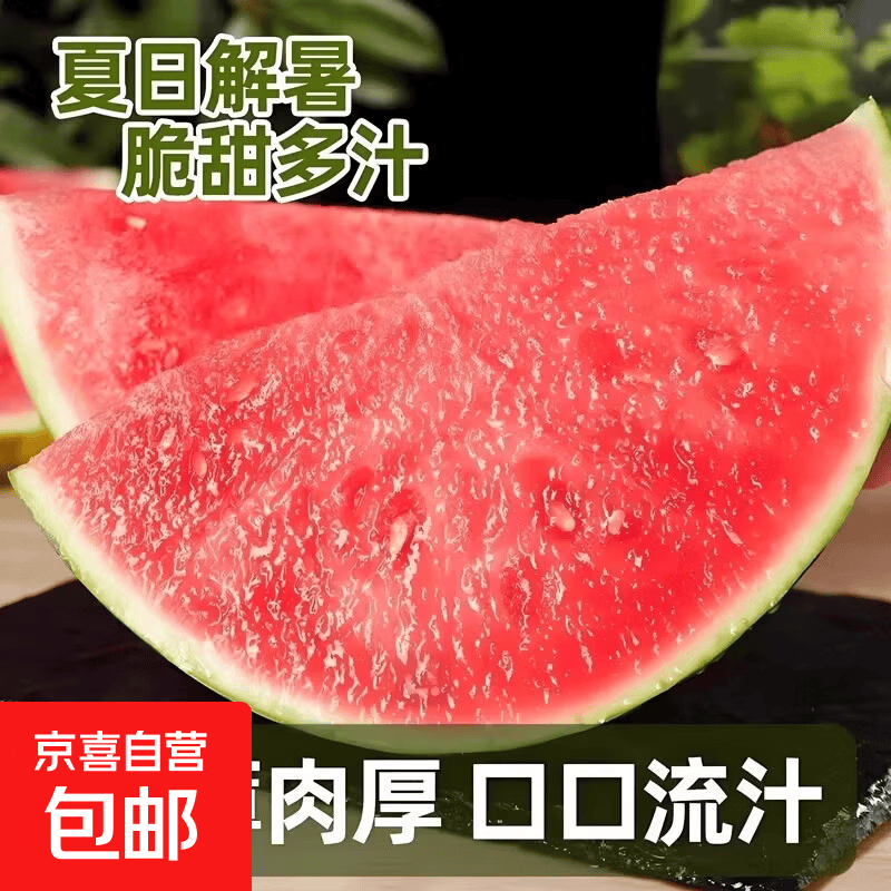 潍坊小西瓜2K小糖丸西瓜新鲜水果薄皮红肉脆甜西瓜产地直发 净重1.5-2斤
