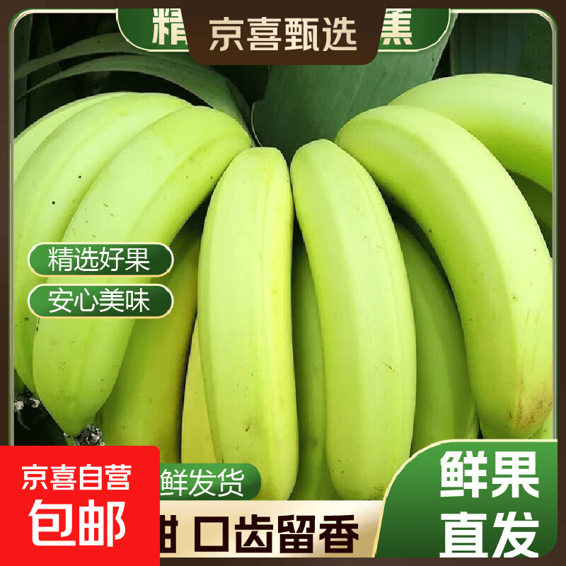 高山香蕉广西产地直发薄皮青果软糯香甜自然熟当季新鲜采摘纯天然 高山香蕉带箱2斤