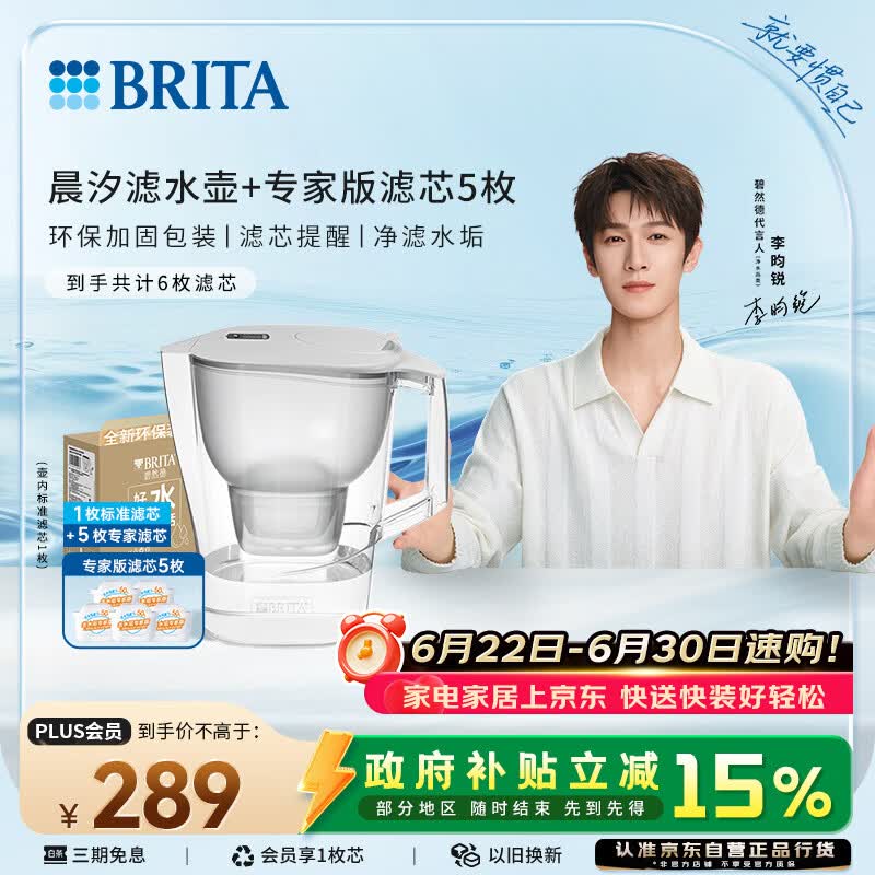 碧然德（BRITA）过滤净水器 家用滤水壶 Kalea 晨汐系列XL  3.5L（灰）+专家版滤芯5枚 环保加固包装