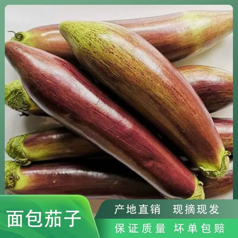 农家自种面包茄子新鲜紫长花茄子软糯嫩茄新鲜蔬菜现摘现发 新鲜面包茄子 5斤