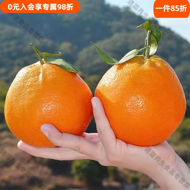 洑记耙耙柑干【商超品质】正宗四川耙耙柑春见新鲜水果粑粑柑桔子5/ 净重5斤【彩箱大果】70mm以上 正宗春见耙耙柑-新鲜带叶发爆汁很甜不上火