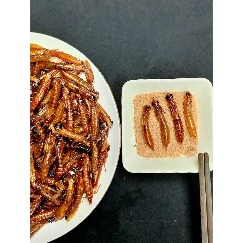 虎钢馋水蜻蜓蛹幼虫新鲜活体冷冻水虿水昆虫宴非油炸美食500g