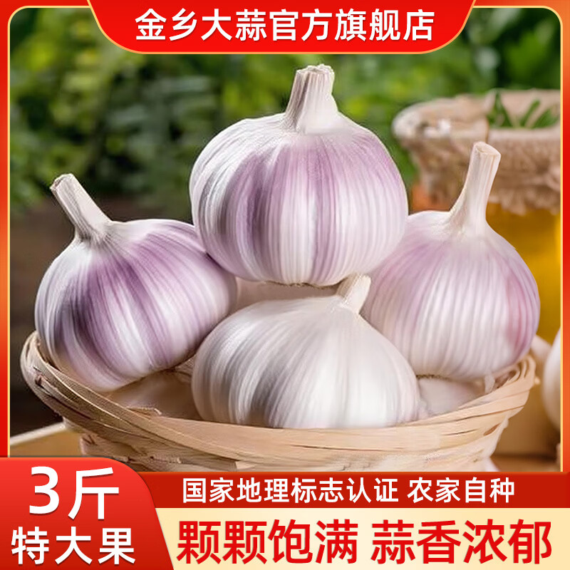 金乡大蒜【新鲜干蒜】山东金乡大蒜干蒜新鲜紫皮蒜头颗粒饱满产地直发 金乡大蒜 （含箱净重1500g+） 爆款推荐 【5-5.5cm】