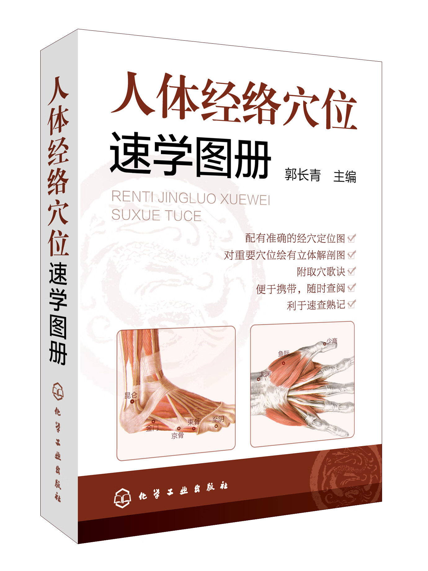 正版书籍 人体经络穴位速学图册 化学工业出版社9787122241771