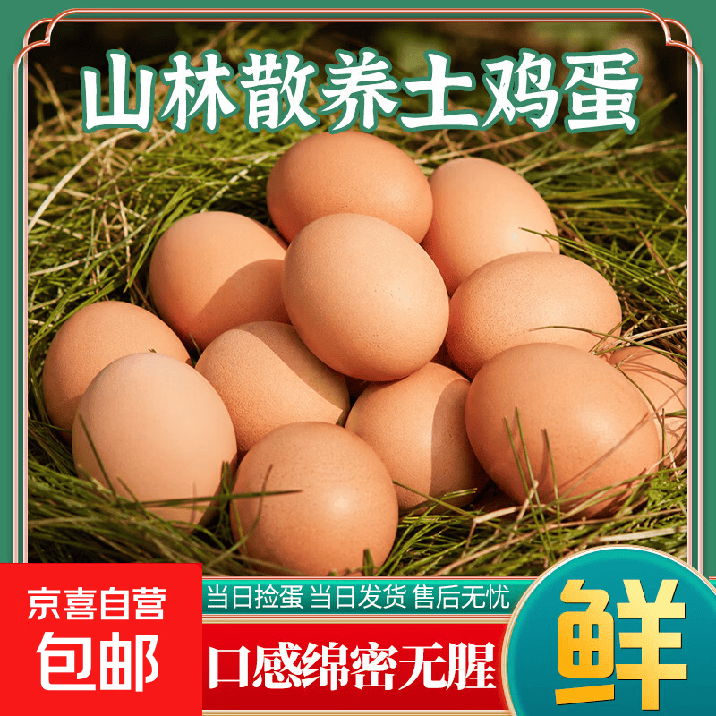 正宗农村土鸡蛋虫草觅食当日现发新鲜土鸡蛋现捡现发40-45g11 土鸡蛋50枚