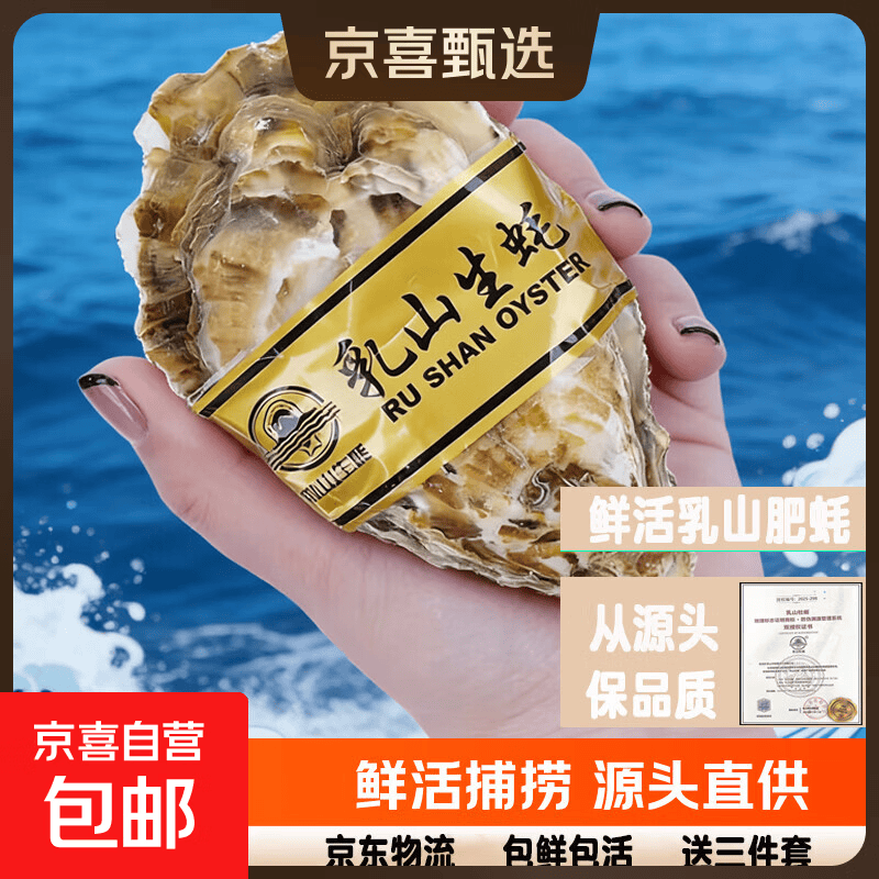鲜活乳山生蚝新鲜正宗乳山牡蛎海蛎鲜活牡蛎海鲜海鲜贝类5斤/10斤 4X大个蚝-10斤装约17-25只