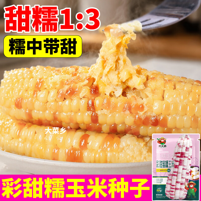 大菜乡彩甜糯玉米种子香软花糯玉米种籽白黄黑黏苞谷籽四季播种大田早熟 【彩甜糯+黄甜糯】玉米种子各1包(1包约50粒)+1包肥