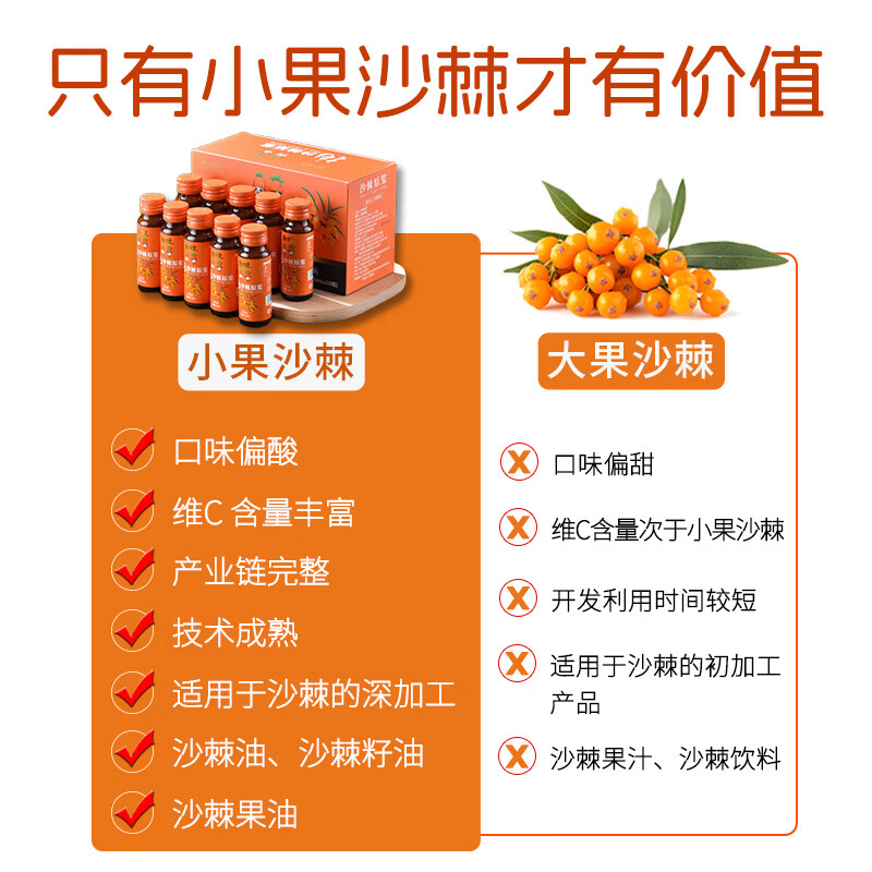 杞硕纯沙棘原浆汁正宗品质100%内蒙古小果鲜榨拒绝添加健康养生饮品 鲜沙棘原浆3盒( 50ml*30瓶 )