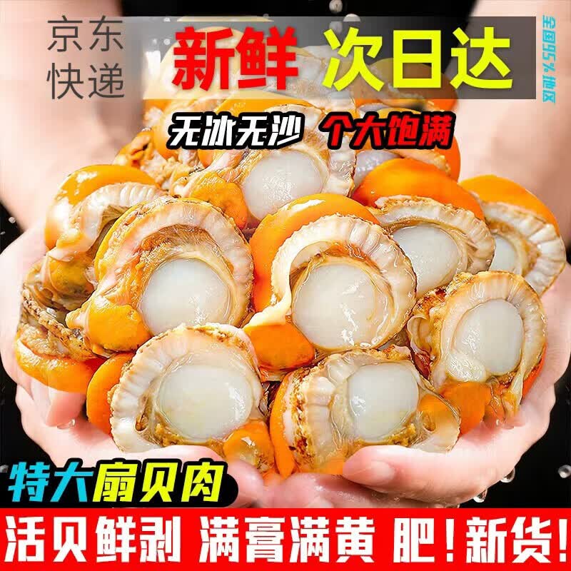扇贝肉新鲜冷冻特大号带黄带膏商用海鲜水产红贝批发黄蚬子鲜活 特大扇贝肉1斤