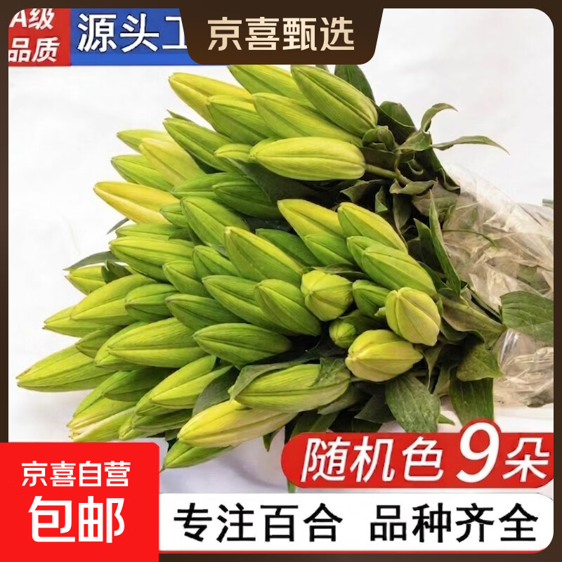 A级百合鲜花云南昆明基地直发混搭礼物七夕节送礼家居装饰 随机特价百合9朵（不指定品种，颜色）