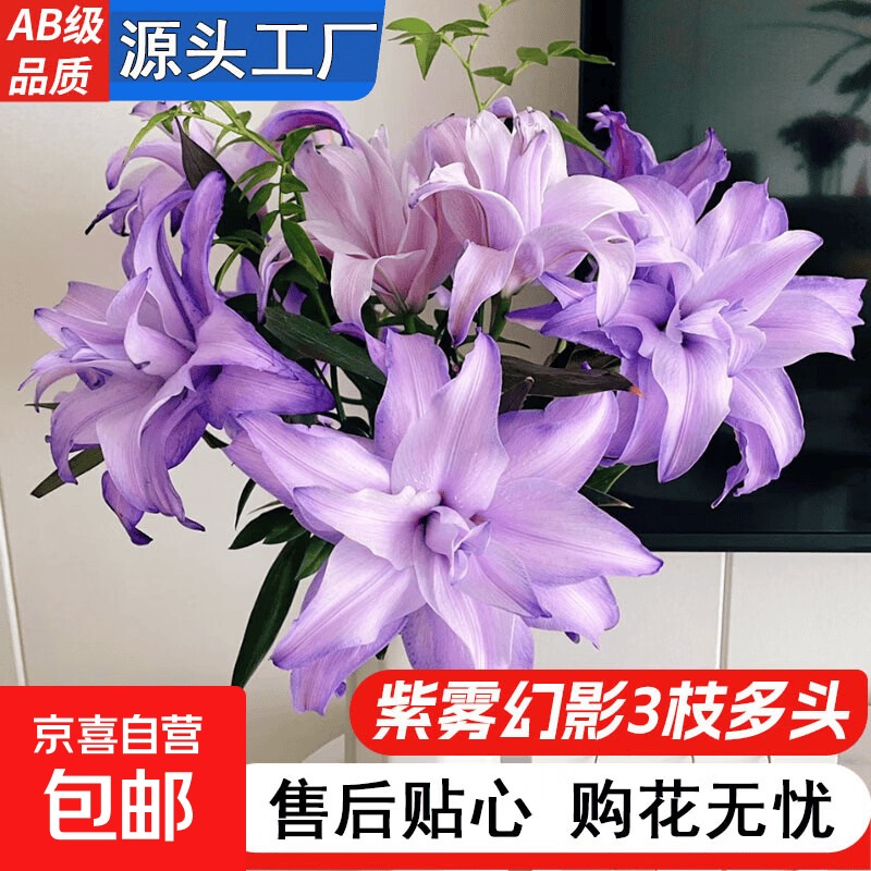 黑心向日葵鲜花云南基地直发水养鲜切花中考高考升职花束一举夺魁 重瓣吸色【紫雾幻影百合3枝多头】12-16个花苞