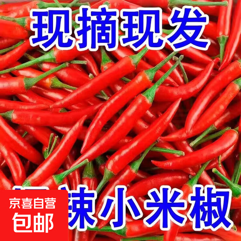 新鲜小米辣小米辣椒小米椒蔬菜小米辣鲜椒新鲜辣椒特辣巨辣红辣椒 巨辣（净重240g）实惠尝鲜
