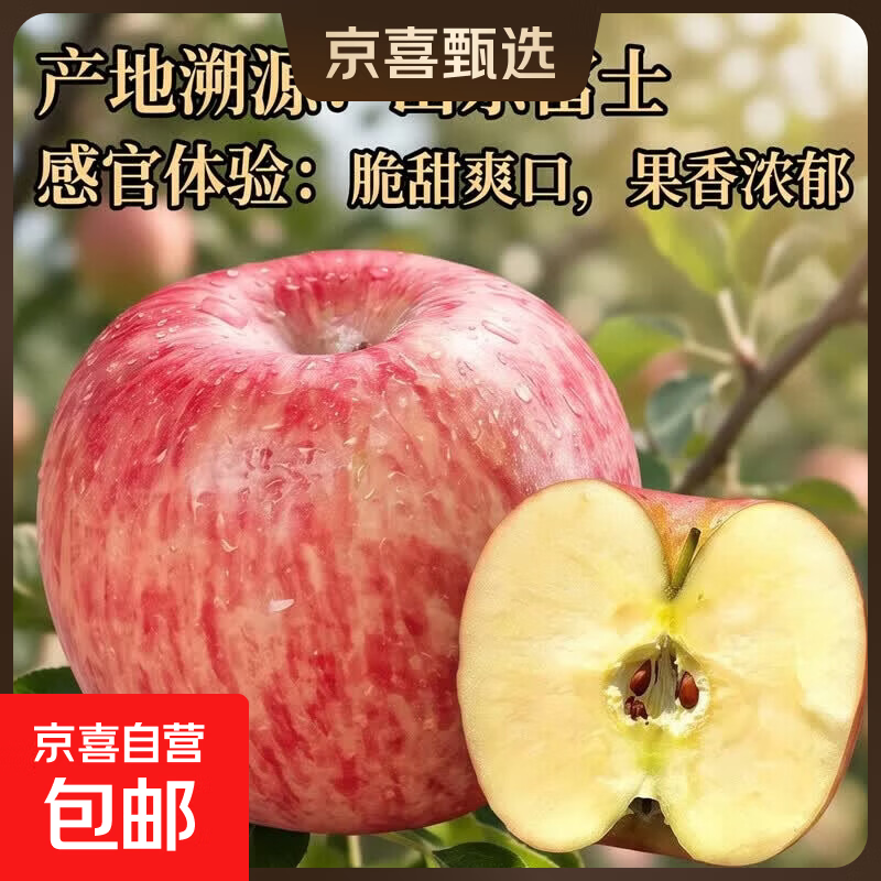 京喜加正宗山东红富士苹果脆甜可口好吃不贵整箱发货生鲜水果丑苹果超市 中果80mm+5斤【含箱】净重4.5斤 京东快递-更快更好