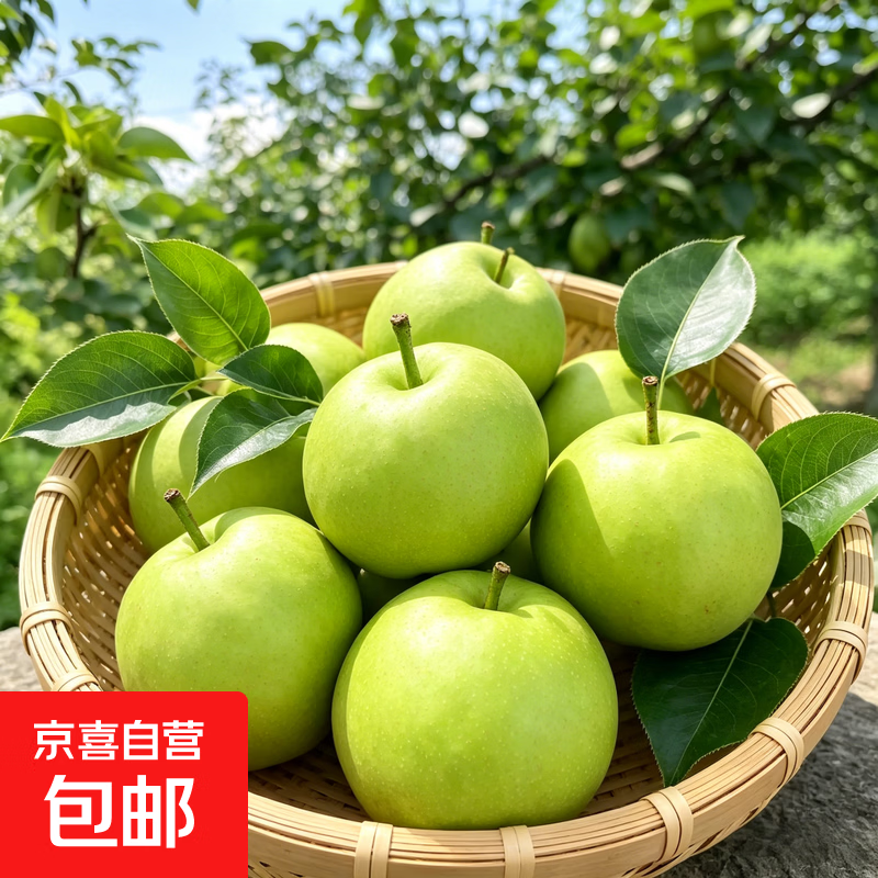 【京东直发】砀山特产青皮蜜梨新鲜水果脆甜多汁应水果皇冠梨青梨 翠冠梨带箱5斤（净重4.5斤） 单果200g+（商超品质）