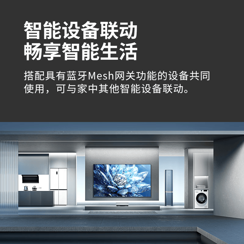 道韦家用超薄智能开关插座蓝牙 mesh2.0 已接入米家APP 零火单开 双板 一开 零火版 灰DS01-80 开关 双板