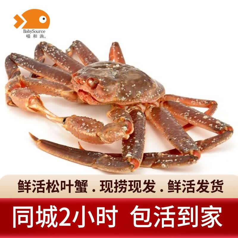 �����ʡ������� �ʻ���Ҷз ��з����˹��з����з����ˮ�����з 1.8-2.0��/1ֻ 318Ԫ